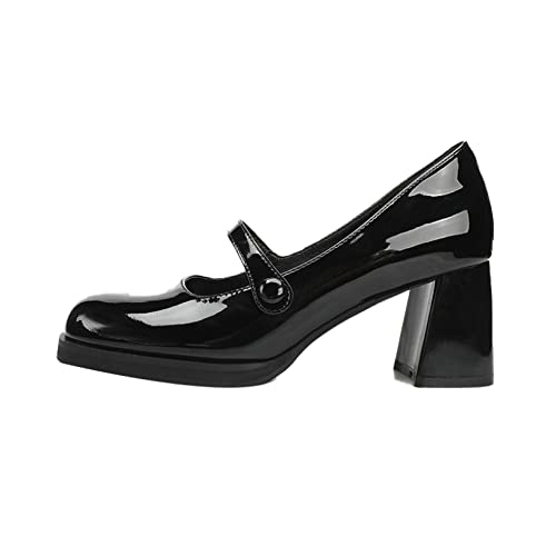 [LECMT] pvX XNGAgD ubN 24.5cm nCq[ fB[X L b ₷ ɂȂ r q[ EȂ `L[q[ q[7cm ₷ ₷  ʋ ItBX t pvX