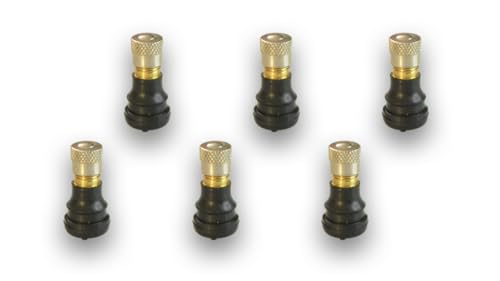 RiuScooter Set de 6 Válvulas Tubeless Cortas para Patinete Eléctrico, Compatible con Smartgyro, Xiaomi, Ninebot, Cecotec, etc Color Negro y Dorado