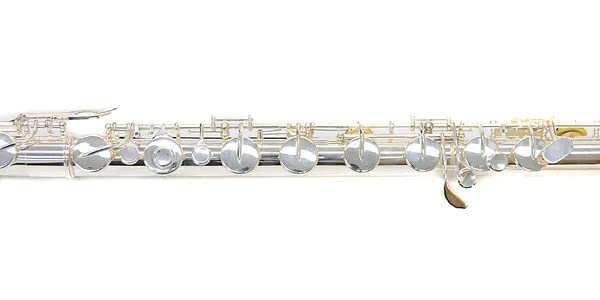 Amazon | PLAYTECH (プレイテック) バスフルート | フルート | 楽器