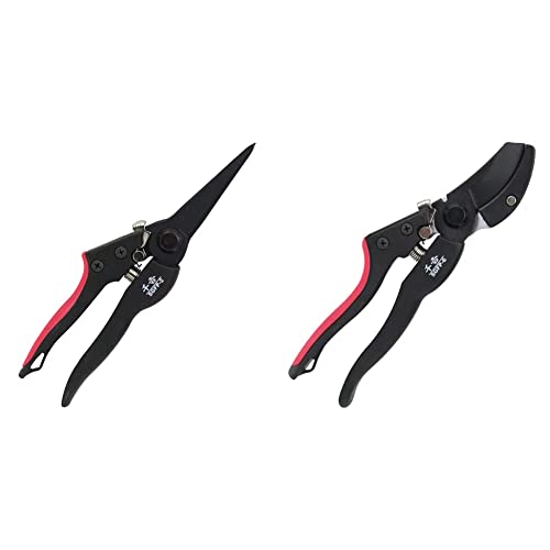 g OXt@Co[ 195mm  SGFP-2 & g OXt@Co[ 200mm ChObv} SGFP-6yZbgz