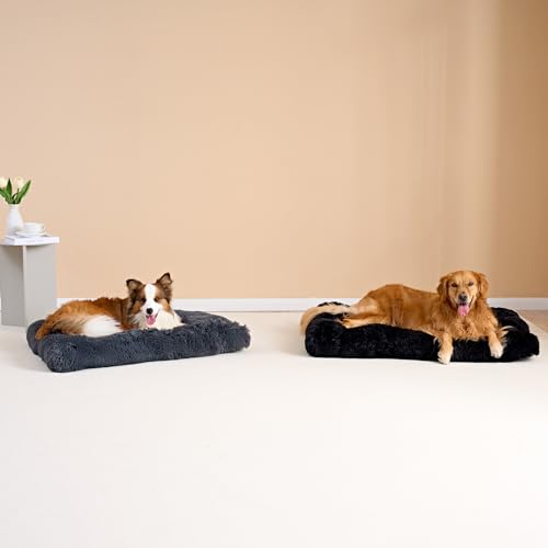 EHEYCIGA Flauschig Hundebett Mittelgroße Hunde, 90x60cm, Hundekissen Grosse Hunde Waschbar, Kuschelig rutschfest Hundematte mit Langem Plüsch, Dunkel Grau