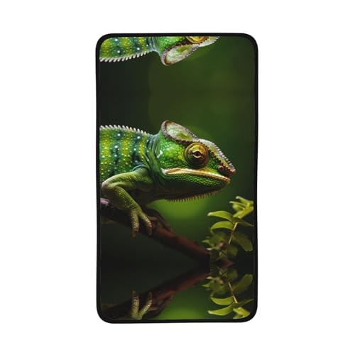 WBQLSL Chameleon Patterned Sports Towel (16x28 inches) - Lightweight Quick-Drying Absorbent Towel, Suitable for Swimming, Fitness, Yoga, etc.