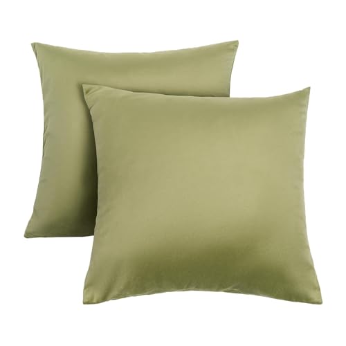 OHS Cushion Covers 45 x 45 Set of 2, Super Soft Matte Velvet Cushion Covers Decorative Square Throw Pillow Cover with Invisible Zipper Home Decoration for Sofa Bedroom Living Room, Olive Green