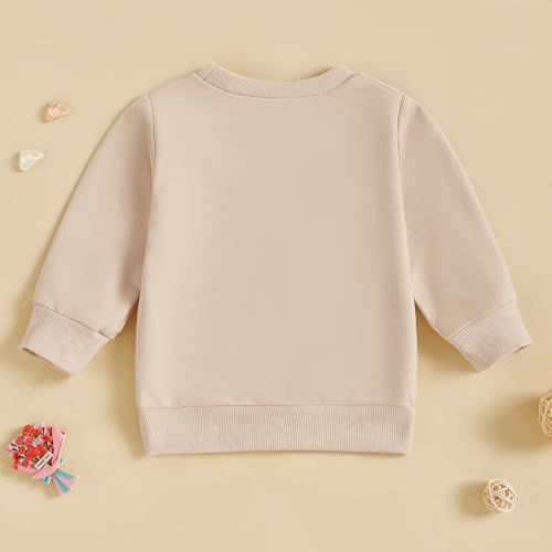 Toddler Boys Crewneck Sweatshirts Excavator/Truck Embroidery Long Sleeve Pullover Tops Fall Winter Casual Clothes3