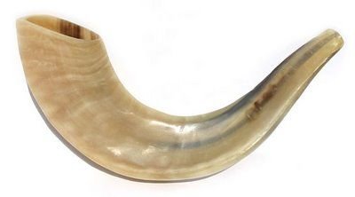 Kosher Shofar Ram's Horn Shofar Medium size 39-42cm Polished White