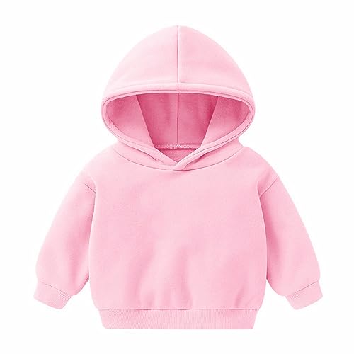 Kids Girls Cute Hoodie Crewneck Cotton Pullover Warm Winter Sweatshirt Long Sleeve Casual Tops Hooded Outwear Clothes2