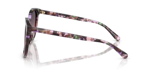 Image of Coach HC8271