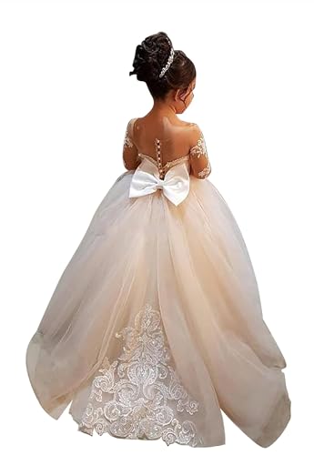 Long Sleeve Flower Girls Dress Lace Applique Long Pageant Ball Gown Kids Communion Princess Dress for Wedding2