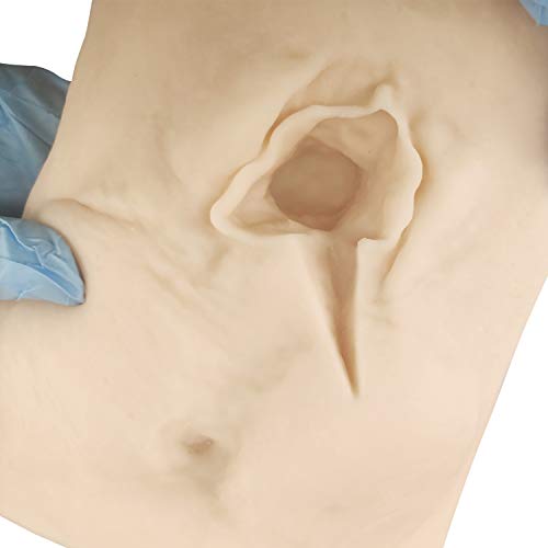 Image of Female Vulva Incision Perineal Suture Practice Model (Left Cut) Laceration /Episiotomy Suture Simulator Practice for Gynecology Teaching to Medical Student, Doctor Training