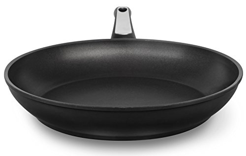 Ozeri Professional Series Induction Fry Pan in Black Onyx, Made in Italy