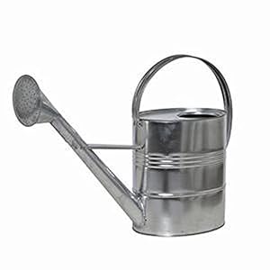 Siena Garden Gieter, 10 l, bloemschenker, verzinkt, 395240