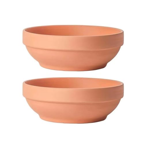 Eviter l'excès d'eau avec le pot succulent plat terre cuite Yofab