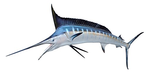 Mounted Marlin for sale | Only 4 left at -65%
