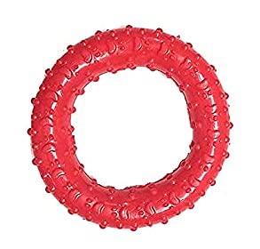 Dog Trust Chew Toys for Dog + Bone + Ball+ Circle Ring (Spike) 3 in 1 Combo Pack. 2