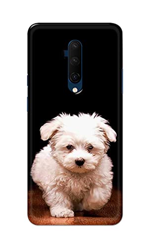 Image of PRINTFIDAA� Printed Hard Back Cover Case for OnePlus 7T Pro | OnePlus 7 Pro Back Cover (Puppy Dog) -2808