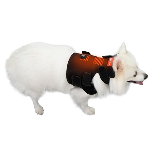 Dog Neck Brace The 15 best products compared Wild Explained