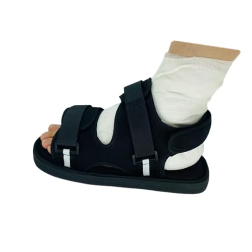 Eiuuioj ܁ApナnrAܐ摹p̃MvXCAEpA1 (26.5cm)