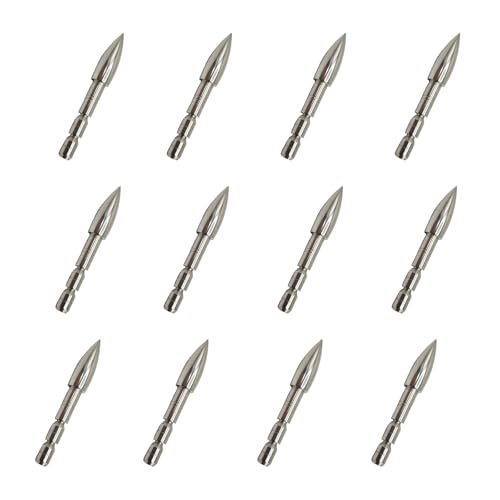 KURUGEILI 12 Pezzi Punte da Campo per Tiro con L'Arco 80 Grain Acciaio Inossidabile Punte Inseribili Sferiche Compatibili con Frecce Diametro Interno 4.2mm - Ideali per Pratica e Allenamento