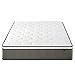 ZINUS 12 Inch Support Plus Pocket Spring Hybrid Mattress, Queen, Strong Coils for Durable Support, Pocket Innersprings for Motion Isolation, Mattress in A Box