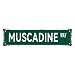 FvFvcxnm Muscadine Way Vintage Metal Art Halloween Tin Sign Man Cave Bar Game Room Wall Decor 16x4 Inches