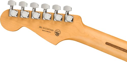 Player Plus Stratocaster HSS PF Silverburst - Les Beatles, Paul McCartney, John Lennon, RIngo Starr, George Harrison Player Plus Stratocaster HSS PF Silverburst – Image 7