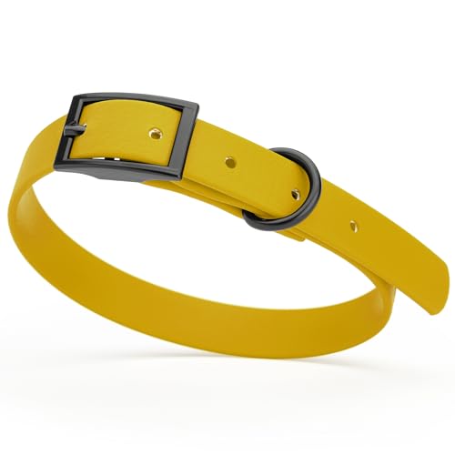 Image of Dogline Biothane Waterproof Dog Collar Strong Coated Nylon Webbing with Black Hardware Odor- Proof for Easy Care Easy to Clean High Performance Fits Small Medium or Large Dogs, Treasure Gold