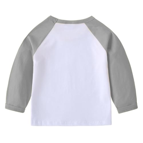 Toddler Baby Boy 2-Piece Sweatshirt and Jogger Set Cotton Color Block Tops Crewneck Hoodies Sweatpants Set Fall Clothes4