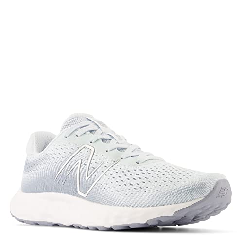 Image of New Balance Women's 520 V8 Shoes