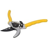 Bypass Secateurs Beschneiden Scheren / / Anlage Cutter 8" (200mm) durch grüne Juwel GAR35
