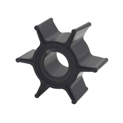 Turbine de pompe à eau 47-8037481 contre la surchauffe moteur 9.9 CV