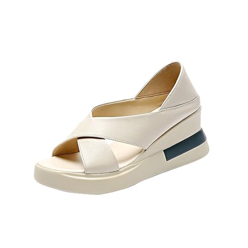 [COVANK]  T_ fB[X IV ItBX ItBXT_ ₷ _炩 y r 6.5cm Xb| EH[LO Ȃ ~  lC 䟭 22.5-25cm