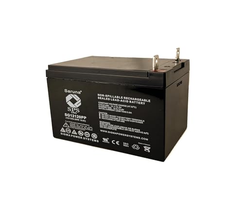 Raion Power 12V 12Ah Compatible Rechargeable Battery for Schumacher Electric PS-120A MityMite Jump Starter