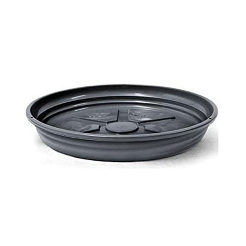 Kit Suspenso Suporte Para Pendurar Vaso E Planta Pequeno Na Parede - Prato 17cm + Corrente 44cm