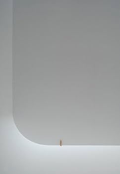 Amazon.co.jp: わたしは生きた : 内藤 礼, 小池 一子, 小池 一子, 畠山