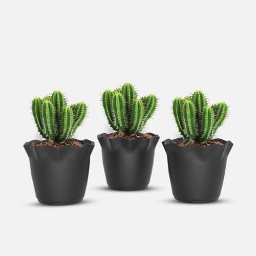 Image of YUCCABE ITALIA SHERA Flower Plastic Flower Pot Unbreakable Round Shape Planter with Drainage Holes Planter Suitable for Home Garden Seedling Indoor and Outdoor (Grey, 6 INCH - 3 Pcs)