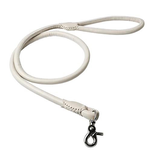 Beanspet pU[[h ی^ ₷ }CNt@Co[U[ v  ^ ^ ^ Up o[iXJ 4F 2TCY (N[, M,1.2m)