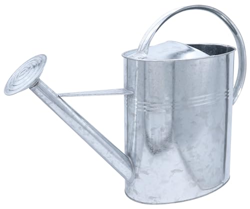 Agrarflora Zinkgießkanne 10 Liter - langlebige Metallgießkanne - Blumengießkanne mit abnehmarer Brause - dekorative Zink Gießkanne, zur Bewässerung von Blumen und Pflanzen