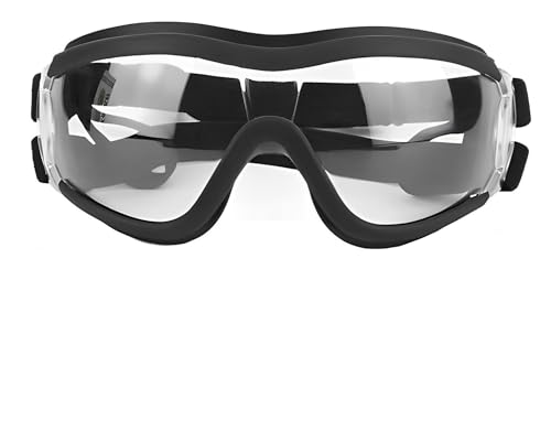 ���p�S�[�O�� �� �T���O���X �����^���p �h���T���O���X �h�������S�[�O�� ���߉\�ȃy�b�g M