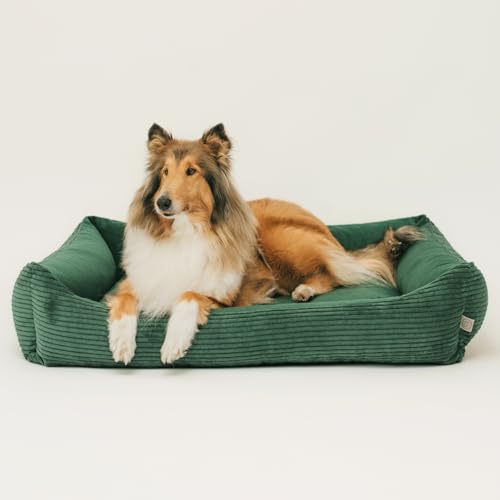 4L Textil Molly Kuscheliges Hundebett Cord Hundekorb kleine Hunde Hundekissen Katzenbett Hundekörbchen Kord (60x40 cm, Grün)