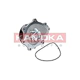  Kamoka Wasserpumpe Pumpe Wasser Kühlwasser Kühlwasserpumpe Kühlung T0176