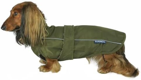 DJANGO City Slicker All-Weather Dog Jacket & Water-Repellent Raincoat with Reflective Piping (Small, Kombu Green)