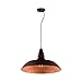 Eglo Lighting 201605A One Light Pendant