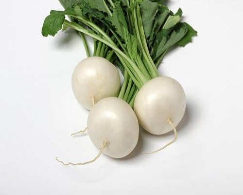 100pcs White Turnip Vegetable Seeds