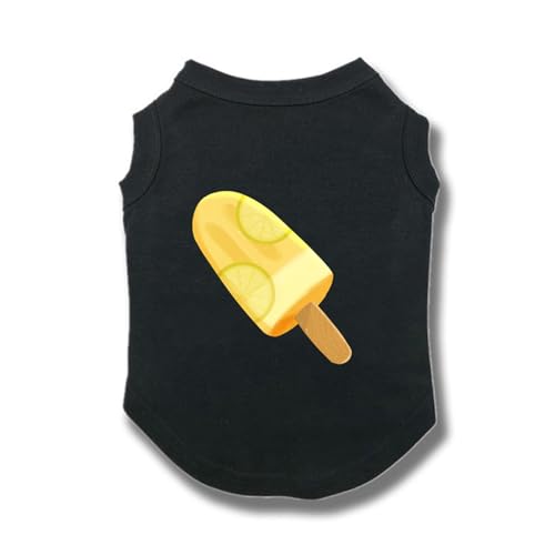 [QINTIW]  ^Ngbv Ȃ  ^ ubN ^ L ʋC GǍD Č `   ig o U LO a Lp ^ ̕ m 3XL L hbOEFA h g