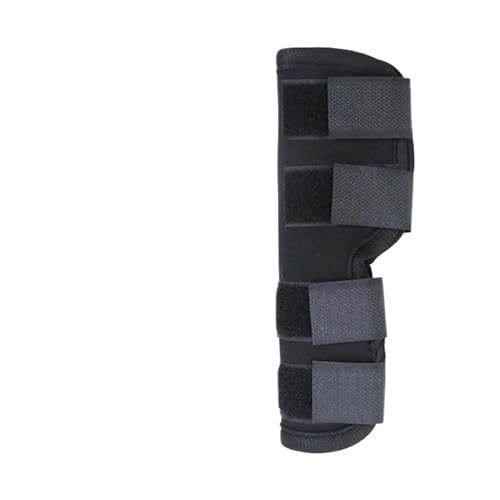 ݂r߂h~ ߊ֐߃A[T|[g z[h X[u ru[X ybgGP񕜕ی 1(L)