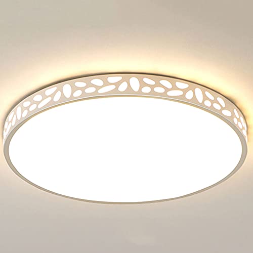 Plafonnier LED en métal fin de 12 pouces au design rond et résistant