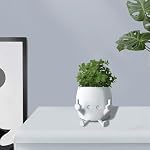 Pot de plantes souriantes avec les doigts moyens vers le haut, Pots de fleurs pour les sucents, Funny Résin Figure Planter Pot pour l'intérieur extérieur