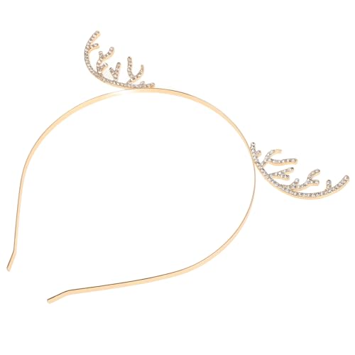 DONFAMDS NX}XpJ`[V LLCXg[t tFXeBuwAoh fB[Xp zf[p[eB[RXv