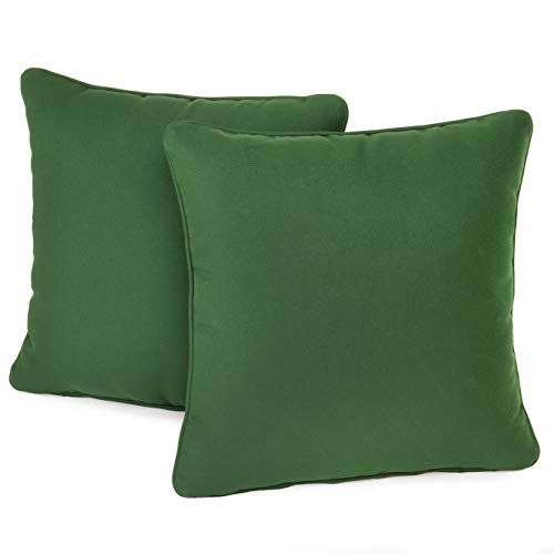 Plant Theatre - Juego de 2 cojines de jardín