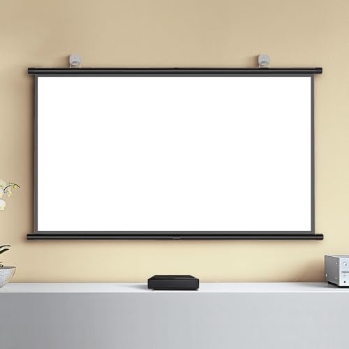 Pantalla de proyección manual interior 50 pulgadas 4:3